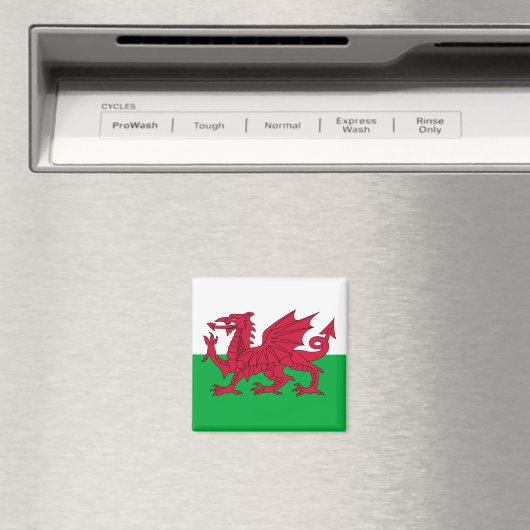 Welsh Flag (Wales) (Welsh Dragon) Magneet (Insitu (Vaatwasser))