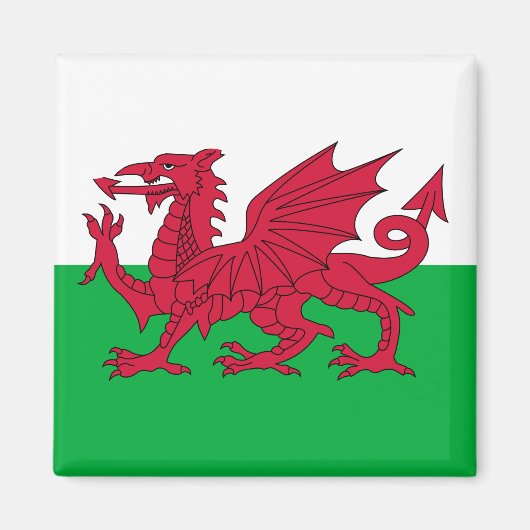 Welsh Flag (Wales) (Welsh Dragon) Magneet (Voorkant)