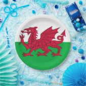 Welsh Flag (Wales) (Welsh Dragon) Papieren Bordje (Feest)