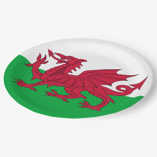 Welsh Flag (Wales) (Welsh Dragon) Papieren Bordje (Gekanteld)