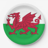 Welsh Flag (Wales) (Welsh Dragon) Papieren Bordje (Voorkant)