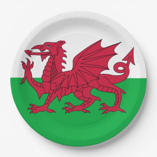 Welsh Flag (Wales) (Welsh Dragon) Papieren Bordje (Voorkant)