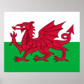 Welsh Flag (Wales) (Welsh Dragon) Poster (Voorkant)