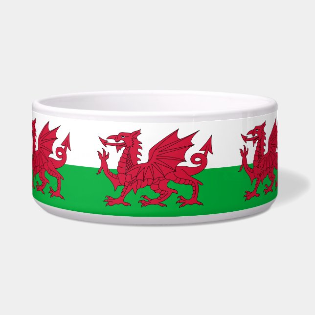 Welsh Flag (Wales) (Welsh Dragon) Voerbakje (Voorkant)