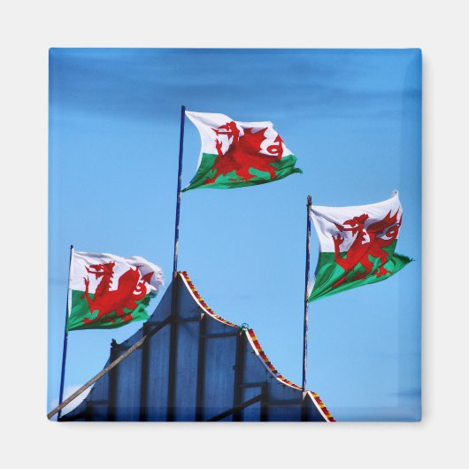 Welsh Flags Flying High in Towyn Magneet (Voorkant)