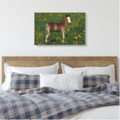Welsh Foal Canvas Afdruk (Insitu (Slaapkamer))