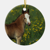 Welsh Foal Keramisch Ornament (Voorkant)