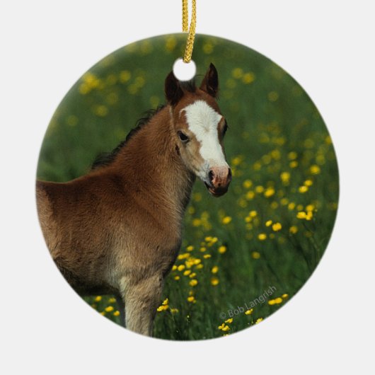 Welsh Foal Keramisch Ornament (Voorkant)