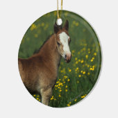 Welsh Foal Keramisch Ornament (Links)