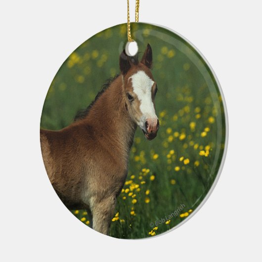 Welsh Foal Keramisch Ornament (Links)