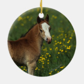 Welsh Foal Keramisch Ornament (Achterkant)