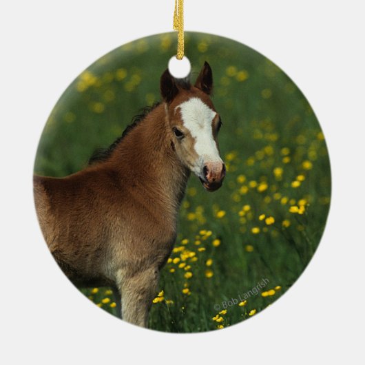 Welsh Foal Keramisch Ornament (Achterkant)