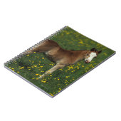 Welsh Foal Notitieboek (Linkerzijde)