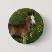 Welsh Foal Ronde Button 5,7 Cm (Voorkant)