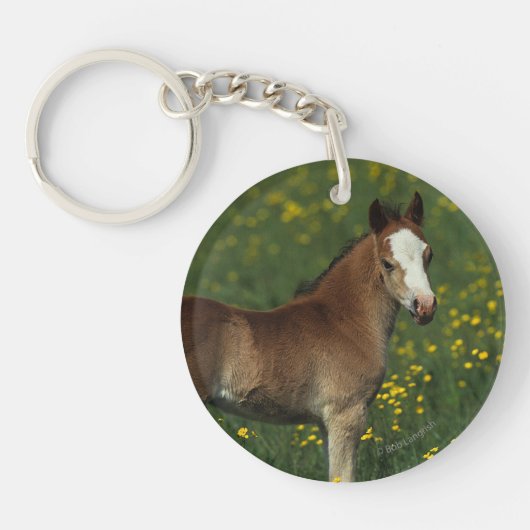 Welsh Foal Sleutelhanger (Voorkant)