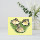 Welsh Harlequin Ducklings Briefkaart (Staand voorkant)
