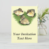 Welsh Harlequin Ducklings Kaart (Staand voorkant)