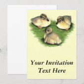 Welsh Harlequin Ducklings Kaart (Voorkant / Achterkant)