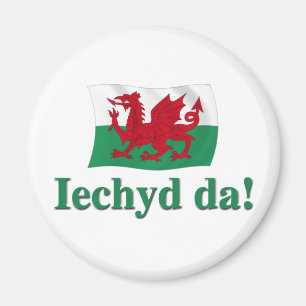 Welsh Iechyd da (Proost!) Magneet