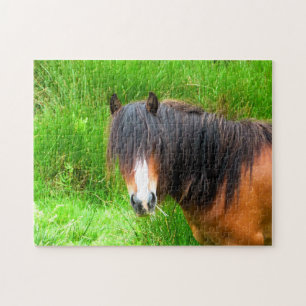 WELSH MOUNTAIN PONY LEGPUZZEL