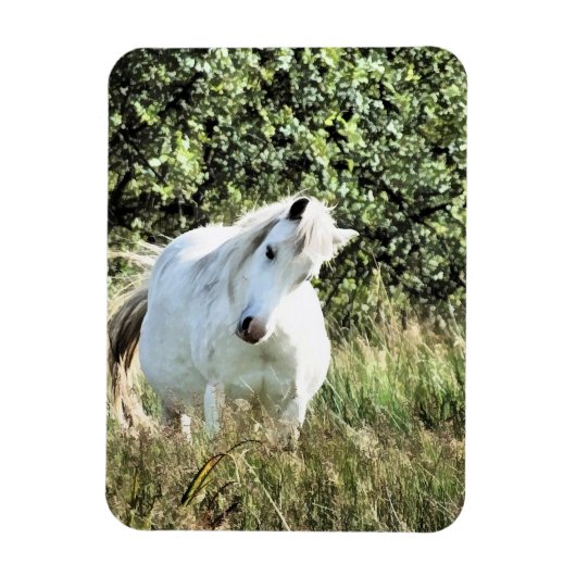 WELSH MOUNTAIN PONY MAGNEET (Verticaal)