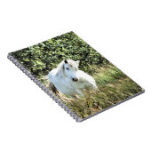 WELSH MOUNTAIN PONY NOTITIEBOEK (Rechterzijde)