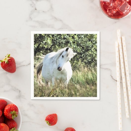 WELSH MOUNTAIN PONY SERVET (Insitu)