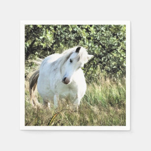 WELSH MOUNTAIN PONY SERVET