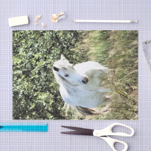 WELSH MOUNTAIN PONY TISSUEPAPIER (Craft)