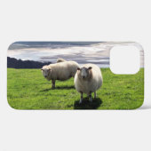 WELSH MOUNTAIN SHEEP Case-Mate iPhone CASE (Achterkant (horizontaal))