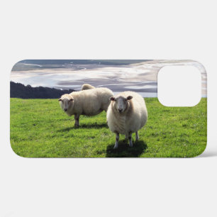WELSH MOUNTAIN SHEEP Case-Mate iPhone CASE