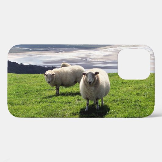 WELSH MOUNTAIN SHEEP Case-Mate iPhone CASE (Achterkant (horizontaal))