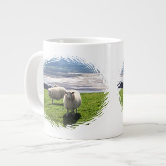 WELSH MOUNTAIN SHEEP GROTE KOFFIEKOP (Links)
