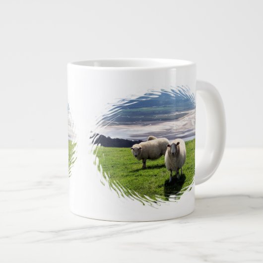 WELSH MOUNTAIN SHEEP GROTE KOFFIEKOP (Voorkant rechts)
