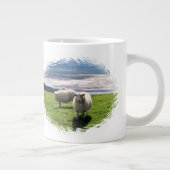 WELSH MOUNTAIN SHEEP GROTE KOFFIEKOP (Rechts)