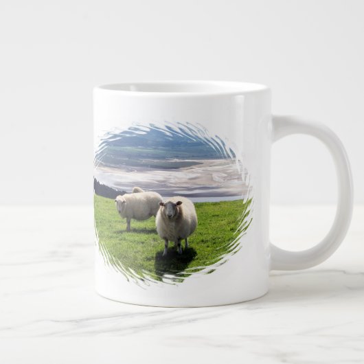 WELSH MOUNTAIN SHEEP GROTE KOFFIEKOP (Rechts)