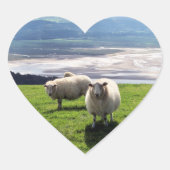 WELSH MOUNTAIN SHEEP HART STICKER (Voorkant)