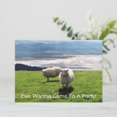 WELSH MOUNTAIN SHEEP KAART (Staand voorkant)
