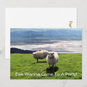 WELSH MOUNTAIN SHEEP KAART (Voorkant / Achterkant)