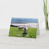 WELSH MOUNTAIN SHEEP KAART (Voorkant)