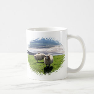 WELSH MOUNTAIN SHEEP KOFFIEMOK