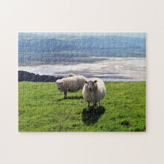 WELSH MOUNTAIN SHEEP LEGPUZZEL (Horizontaal)