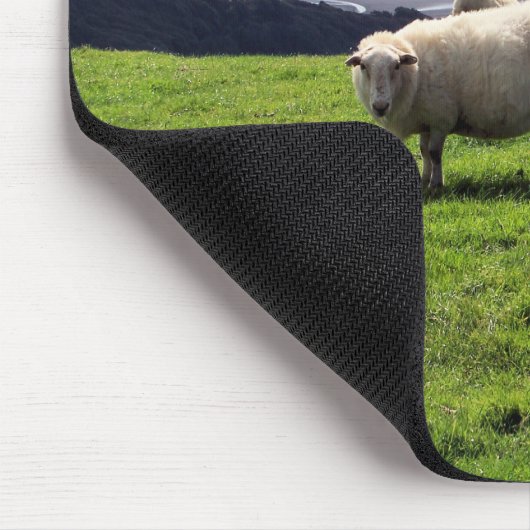 WELSH MOUNTAIN SHEEP MUISMAT (Hoek)