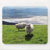 WELSH MOUNTAIN SHEEP MUISMAT (Voorkant)
