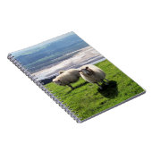 WELSH MOUNTAIN SHEEP NOTITIEBOEK (Rechterzijde)