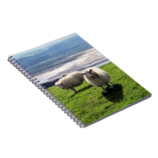 WELSH MOUNTAIN SHEEP NOTITIEBOEK (Rechterzijde)