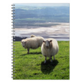WELSH MOUNTAIN SHEEP NOTITIEBOEK (Voorkant)