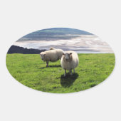 WELSH MOUNTAIN SHEEP OVALE STICKER (Voorkant)