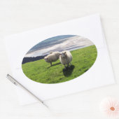 WELSH MOUNTAIN SHEEP OVALE STICKER (Envelop)
