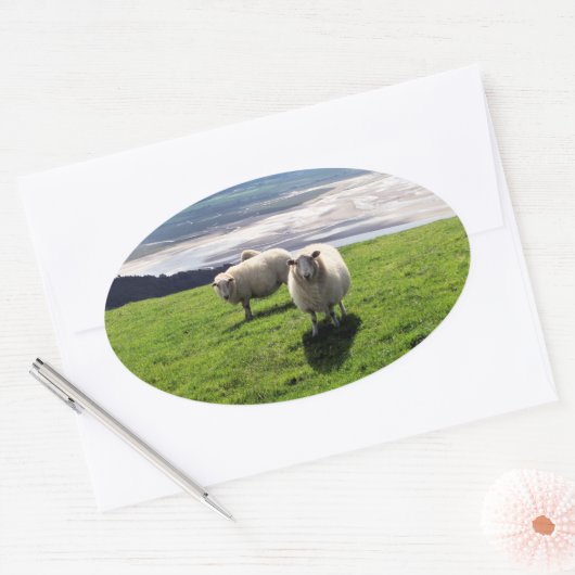 WELSH MOUNTAIN SHEEP OVALE STICKER (Envelop)